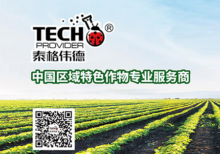 Shandong Tiger Weide Biological Technology Co., Ltd.