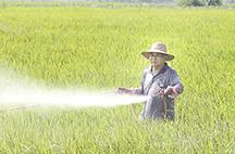 水稻病虫害还多发时期，各地需加强监测做好防控指导工作