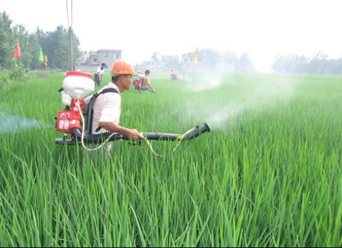 预警：中晚稻病虫害中等至偏重发生，累计9.16亿亩