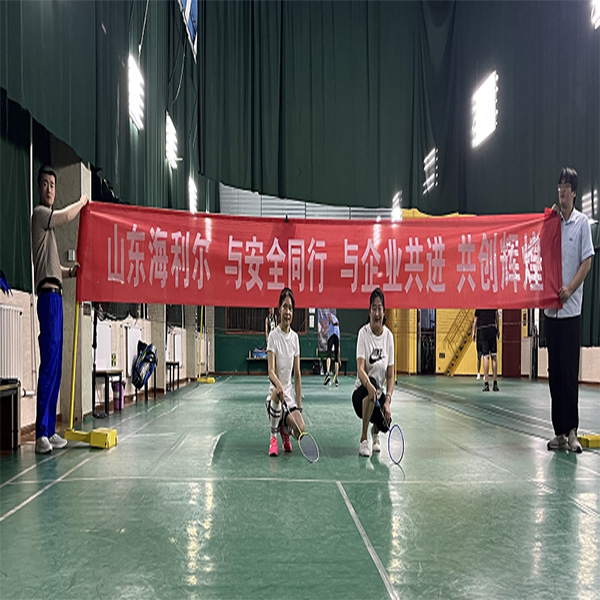 Shandong Hailir organization ', ' feather ' safety peer ' theme staff activities